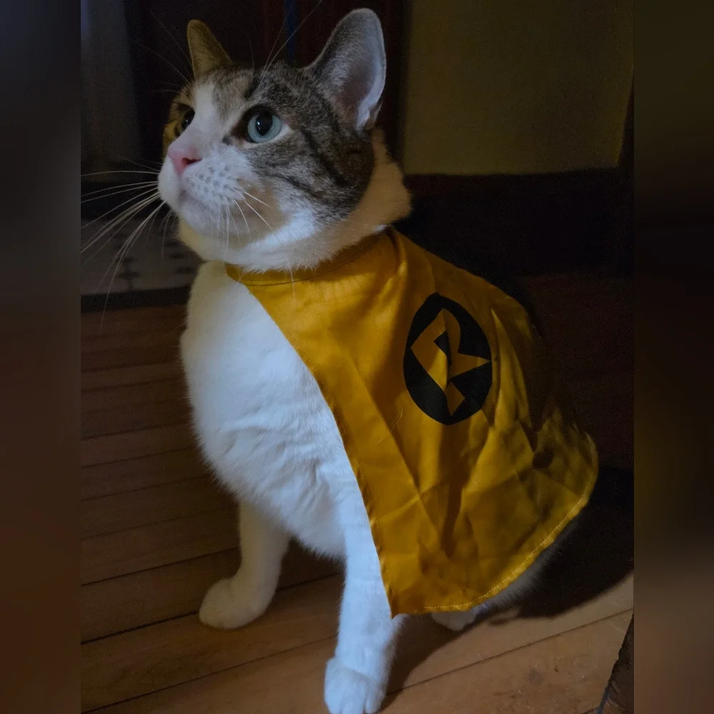Superhero pet with Mask - Robin